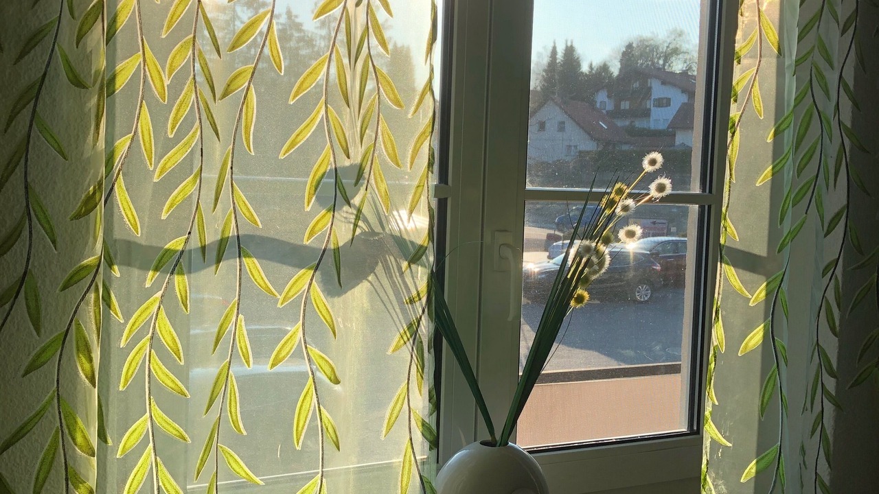 Photo of Others in Rothkreuz