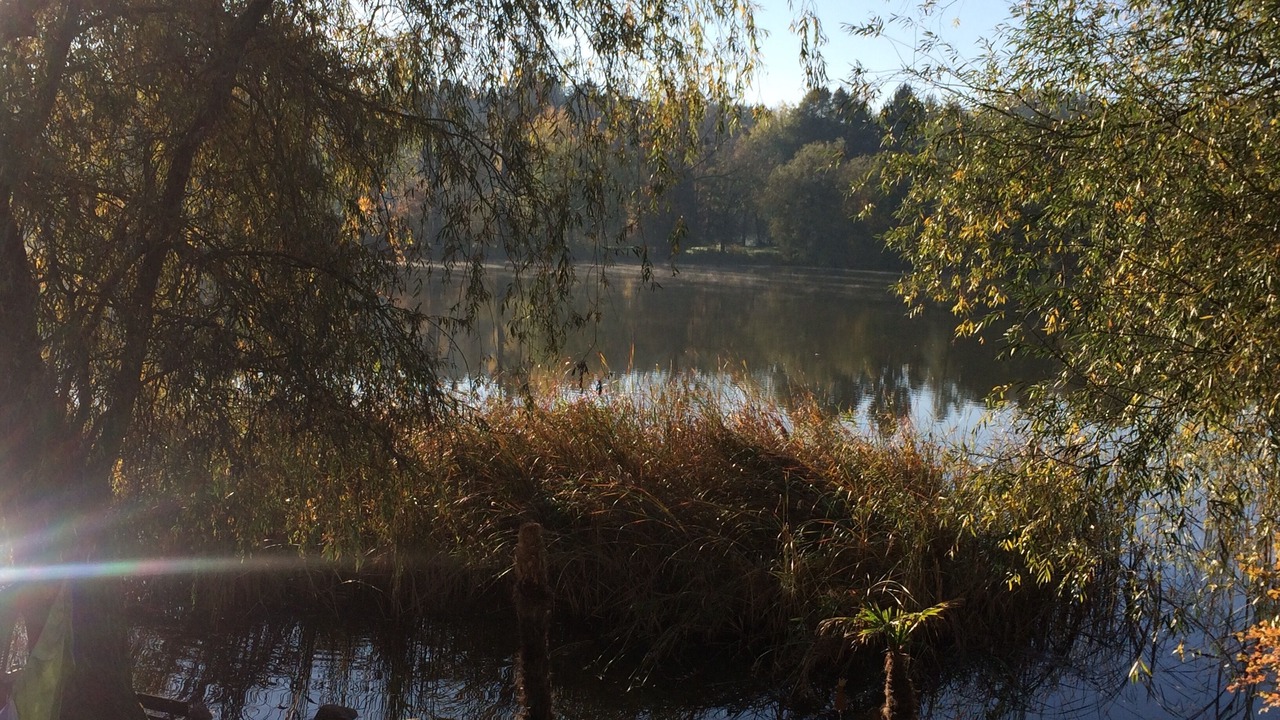Photo of Outdoor in Rothkreuz
