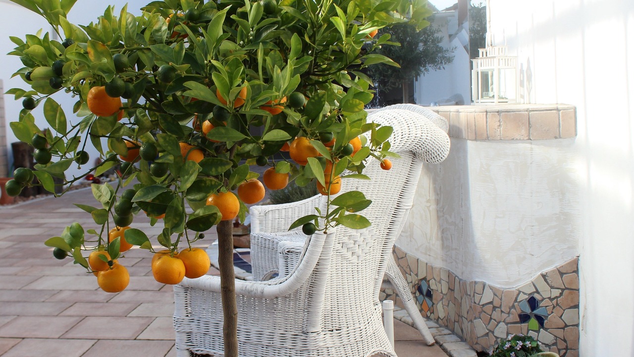 Photo of Patio Balcony in Grossostheim