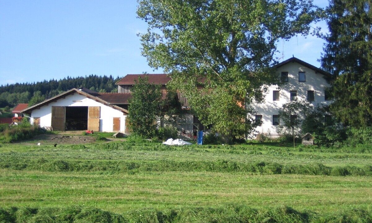 Photo of Outdoor in Kirchberg i.Wald