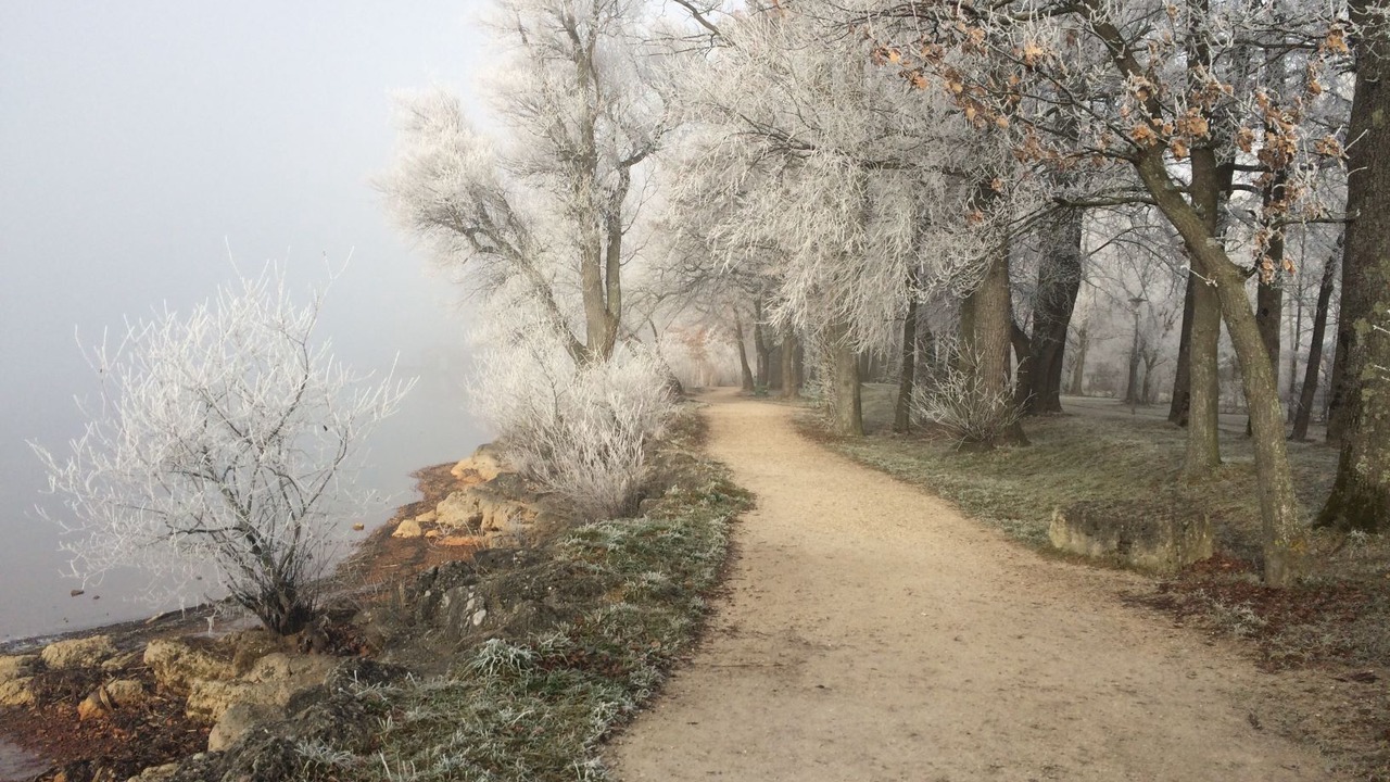 Photo of Outdoor in Westerbuchberg