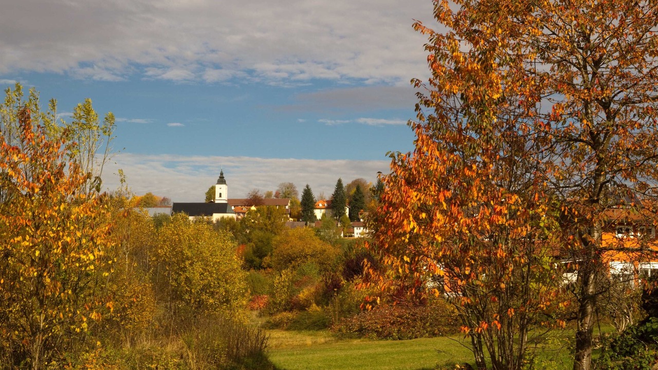 Photo of Outdoor in Sankt Oswald-Riedlhuette