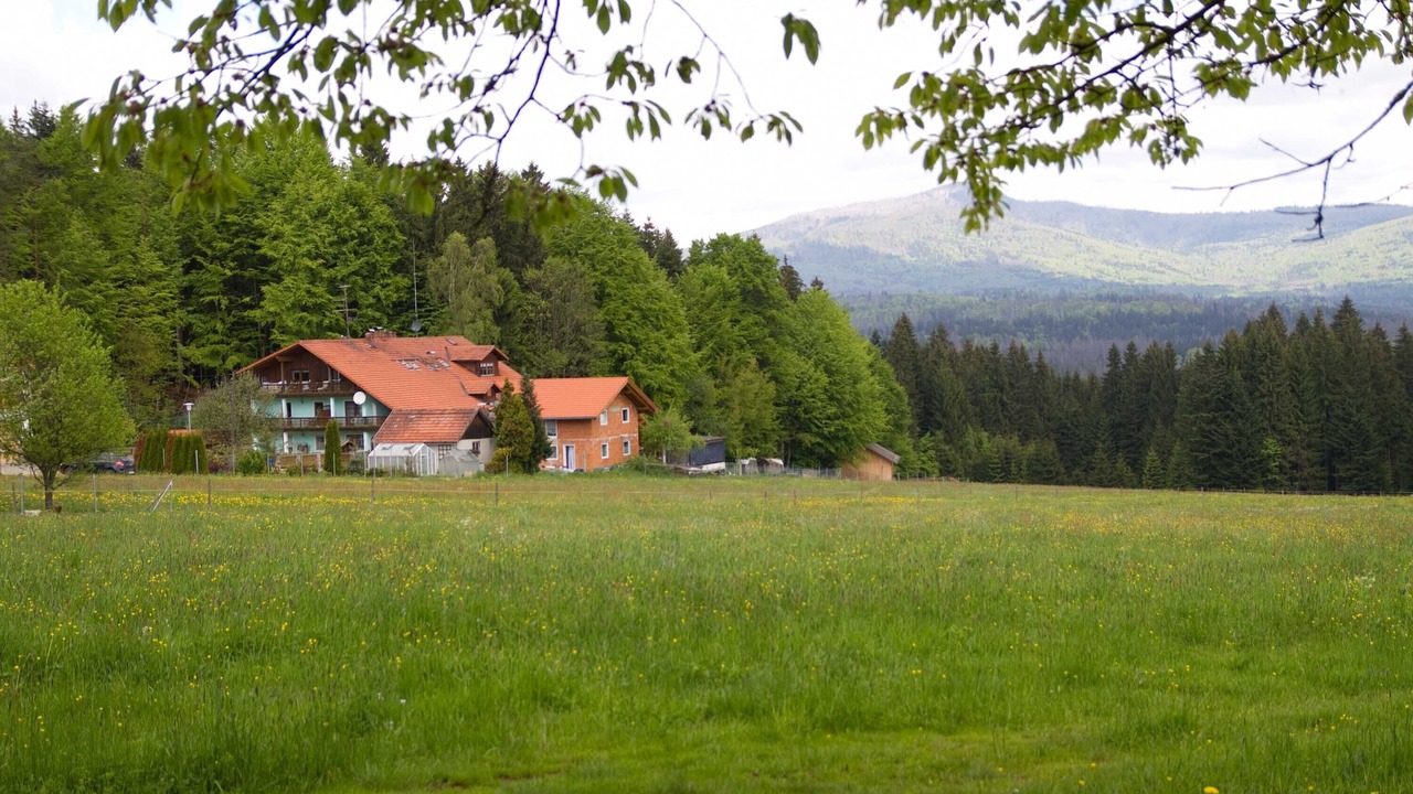 Photo of Outdoor in Sankt Oswald-Riedlhuette