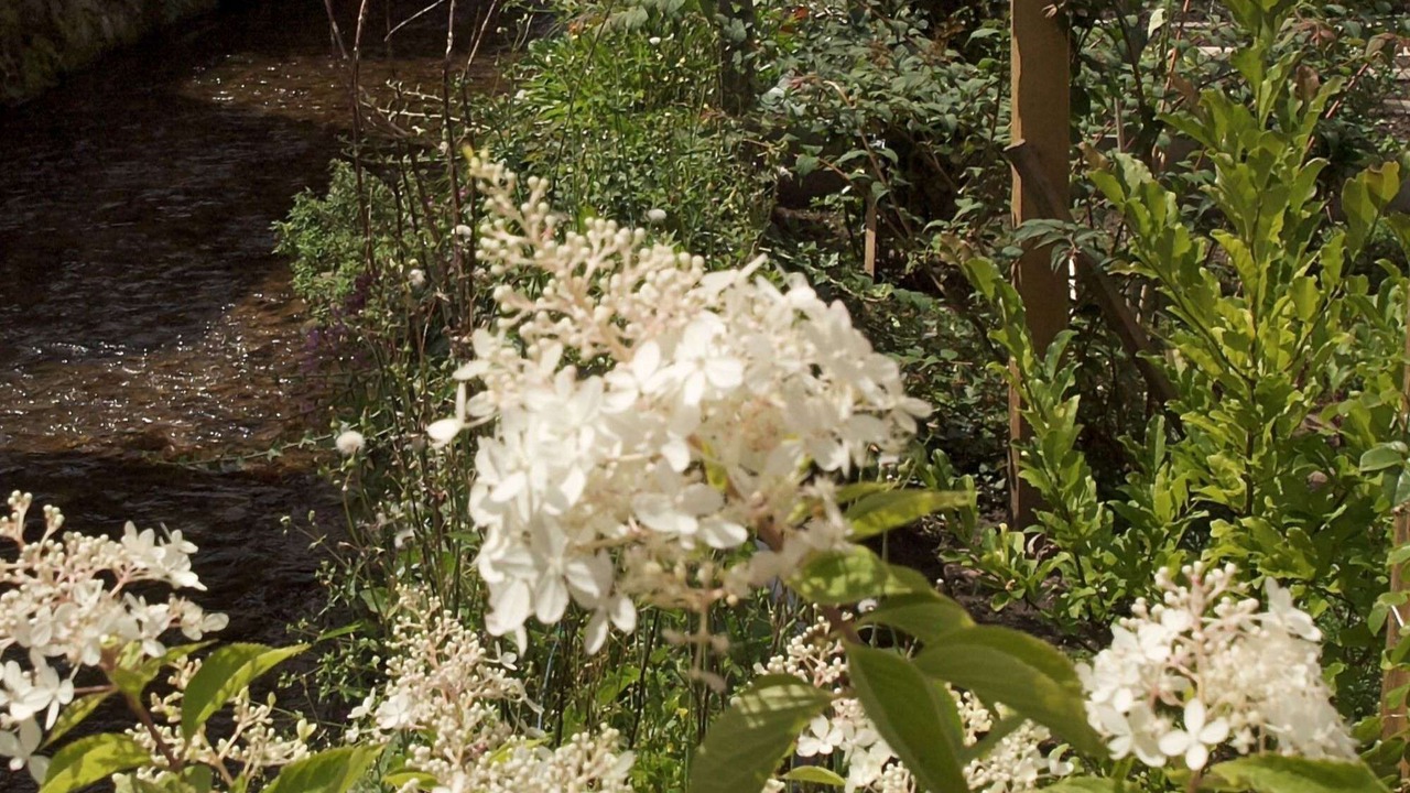 Photo of Outdoor in Alpirsbach