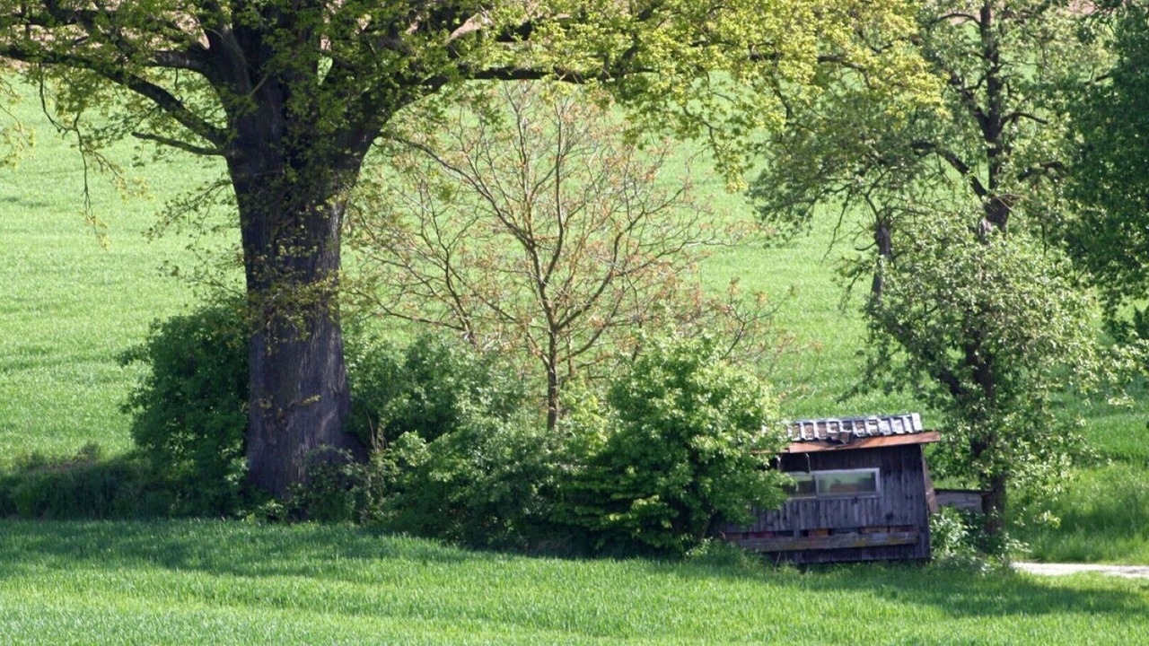 Photo of Outdoor in Rotthalmuenster