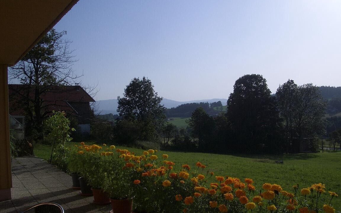 Photo of Patio Balcony in Viechtach