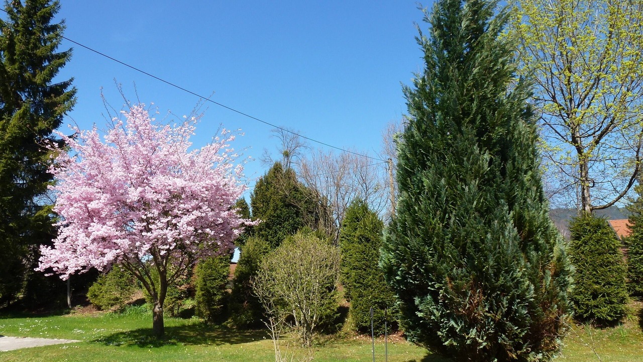 Photo of Outdoor in Weißach