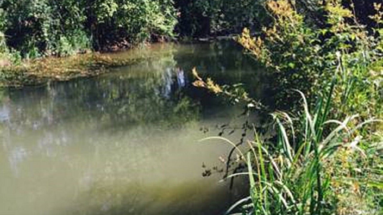 Photo of Outdoor in Pforring
