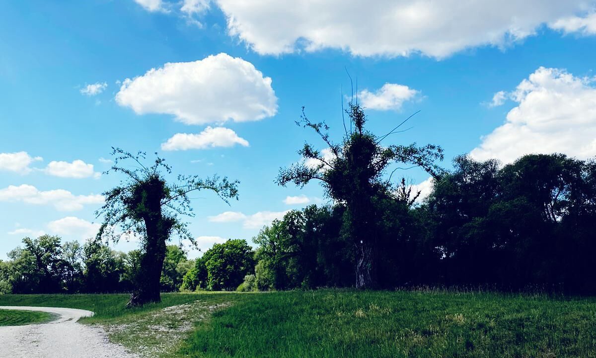 Photo of Outdoor in Pforring