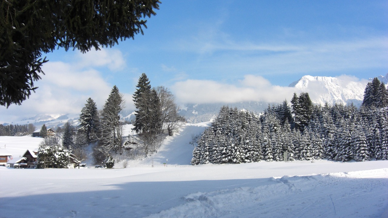 Photo of Others in Obermaiselstein