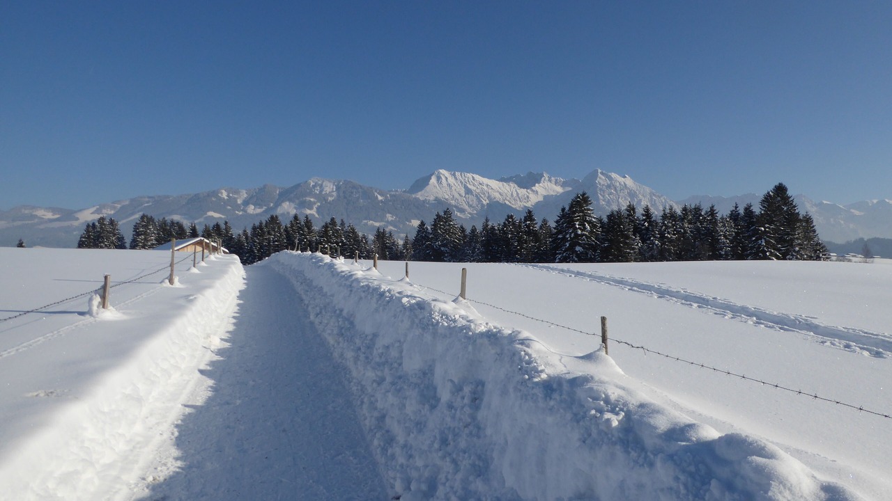 Photo of Others in Obermaiselstein