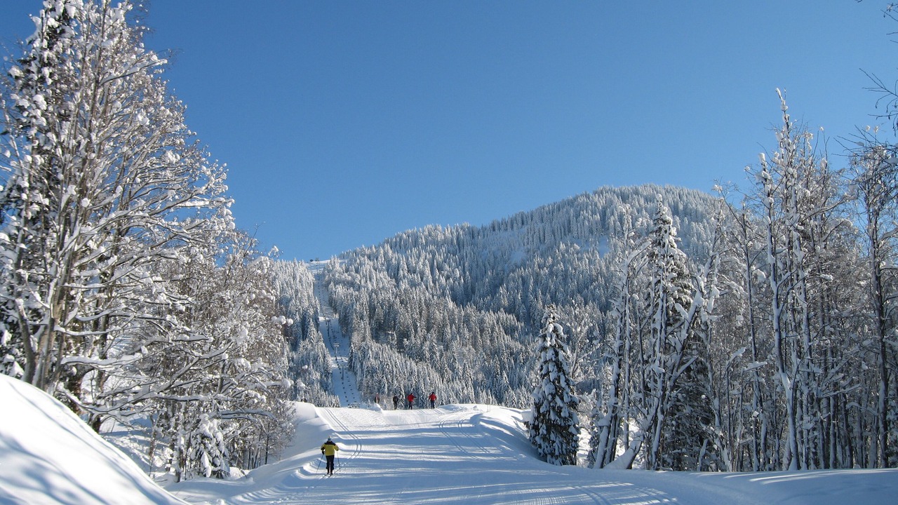 Photo of Others in Obermaiselstein