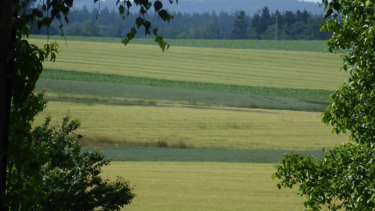 Photo of Others in Ebersberg District