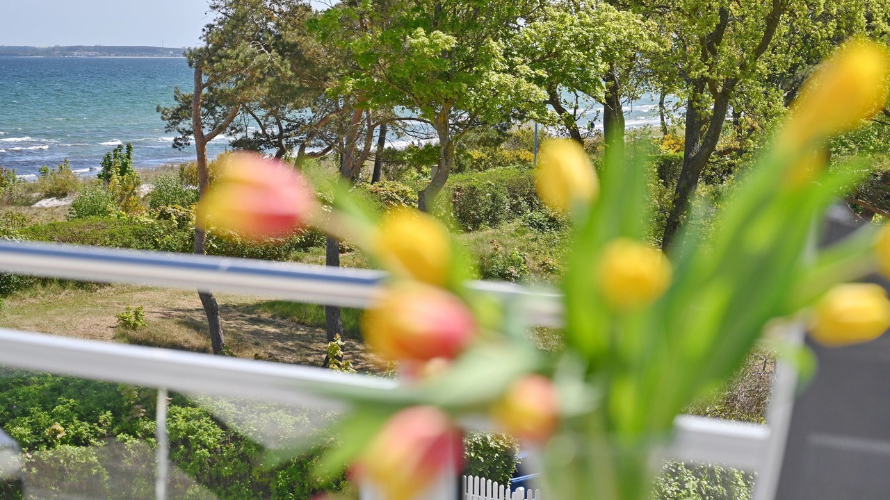 Photo of Outdoor in Juliusruh
