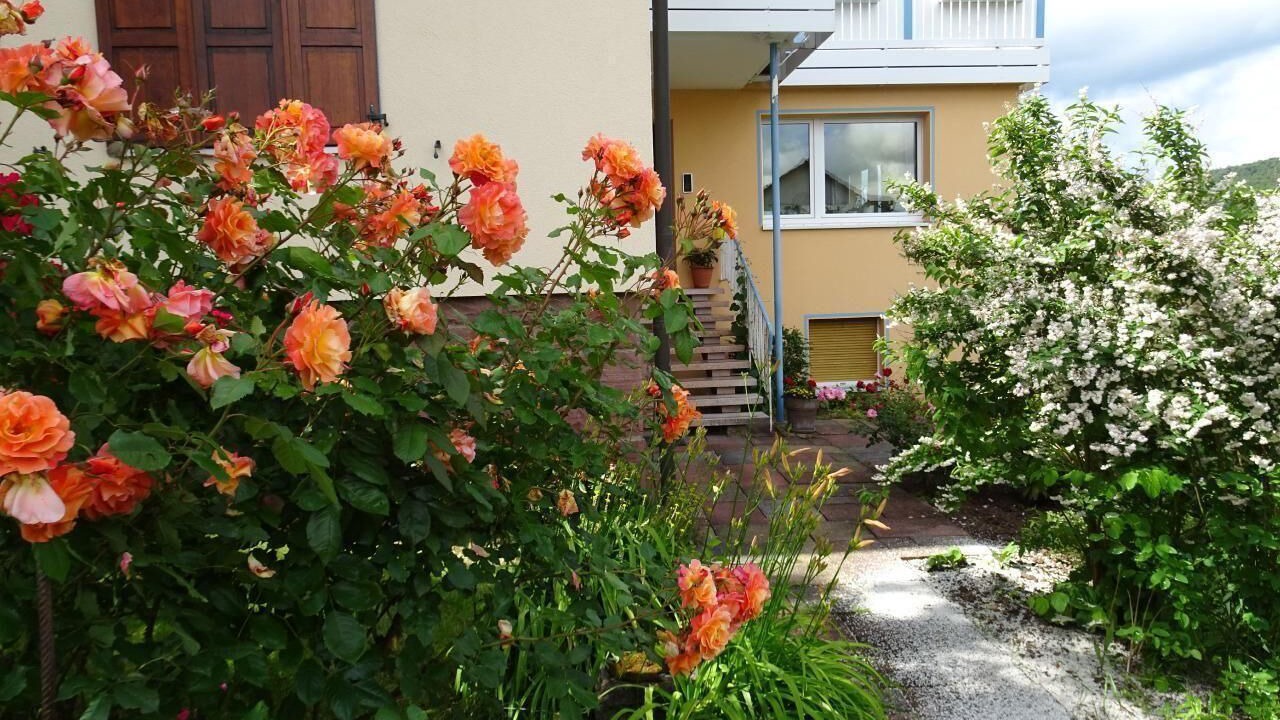 Photo of Outdoor in Bad Kissingen
