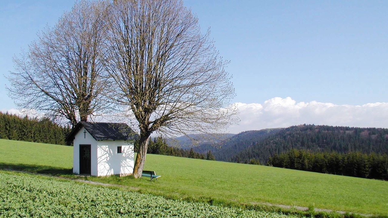 Photo of Outdoor in Eibenberg