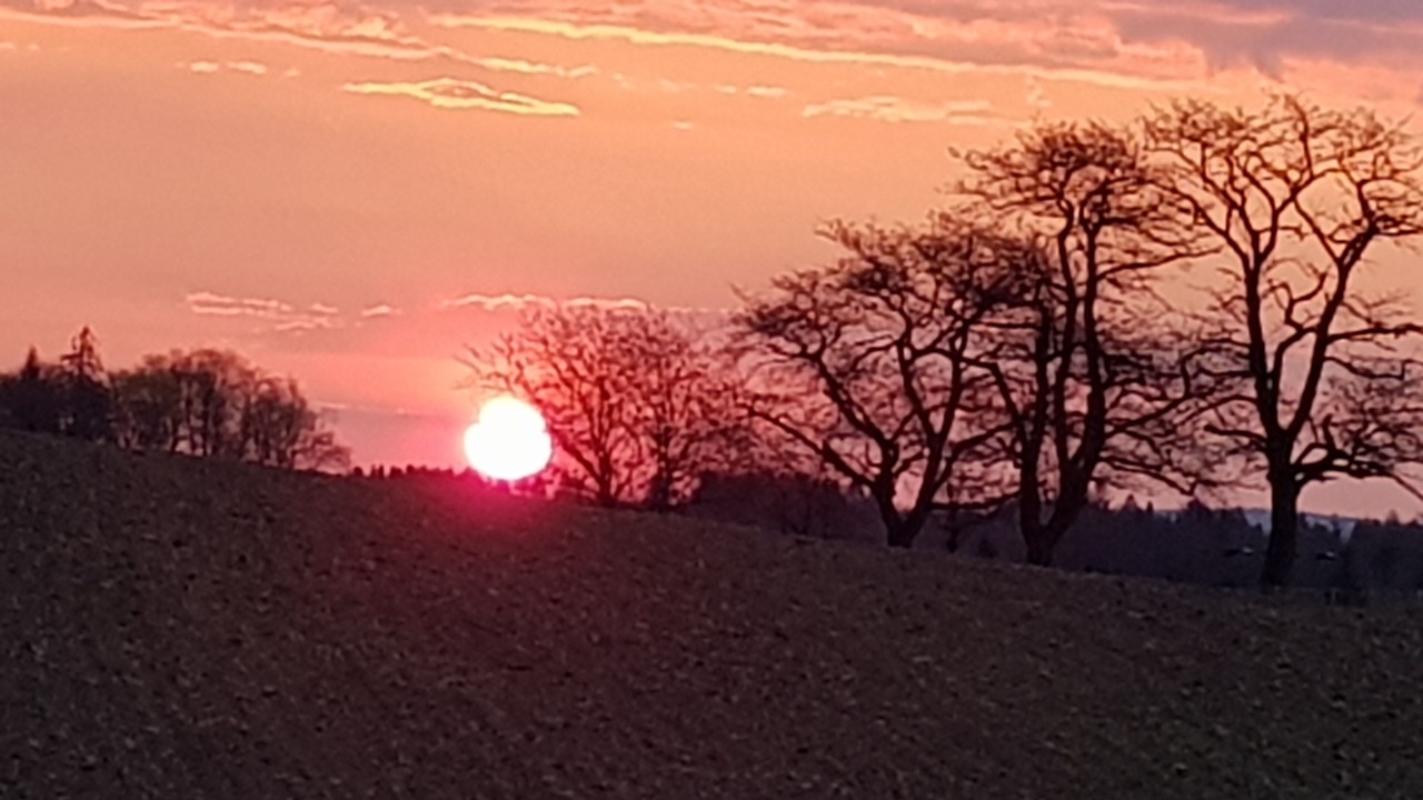 Photo of Outdoor in Eibenberg
