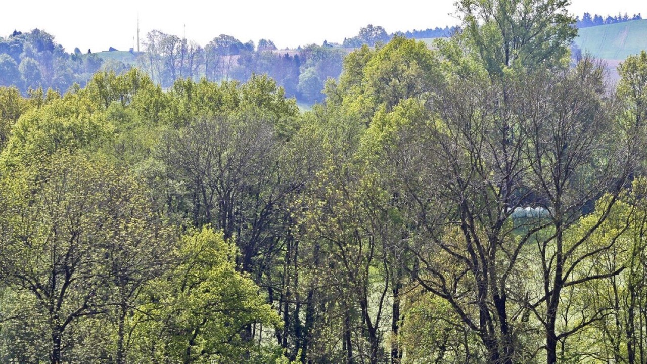 Photo of Outdoor in Rotthalmuenster
