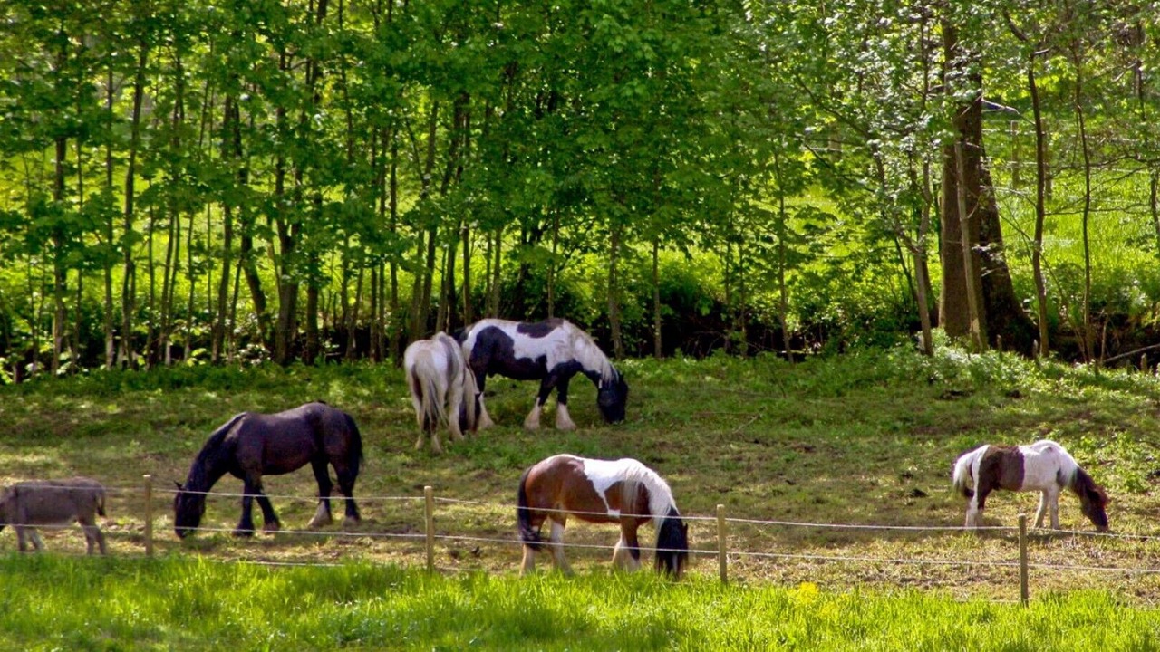 Photo of Outdoor in Rotthalmuenster