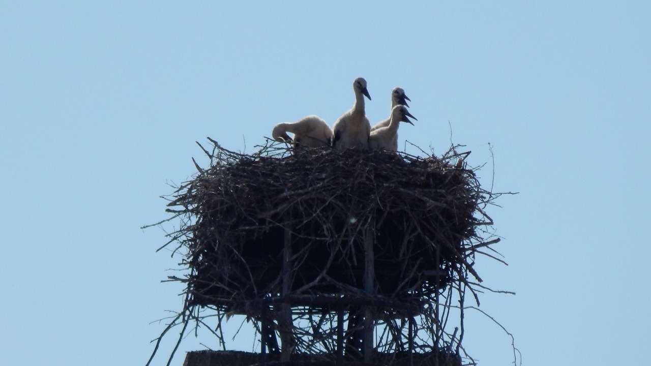 Photo of Others in Lichtenau