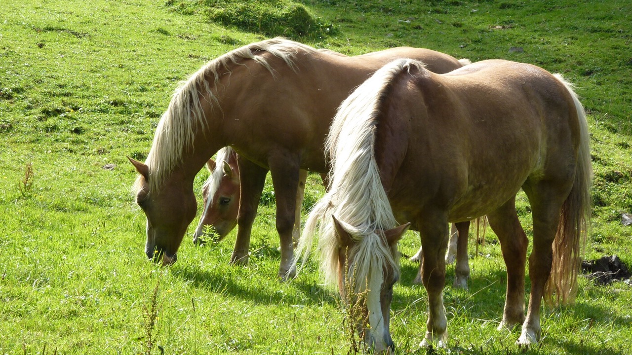 Photo of Outdoor in Ettensberg