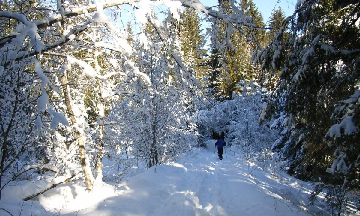 Photo of Outdoor in Ettensberg