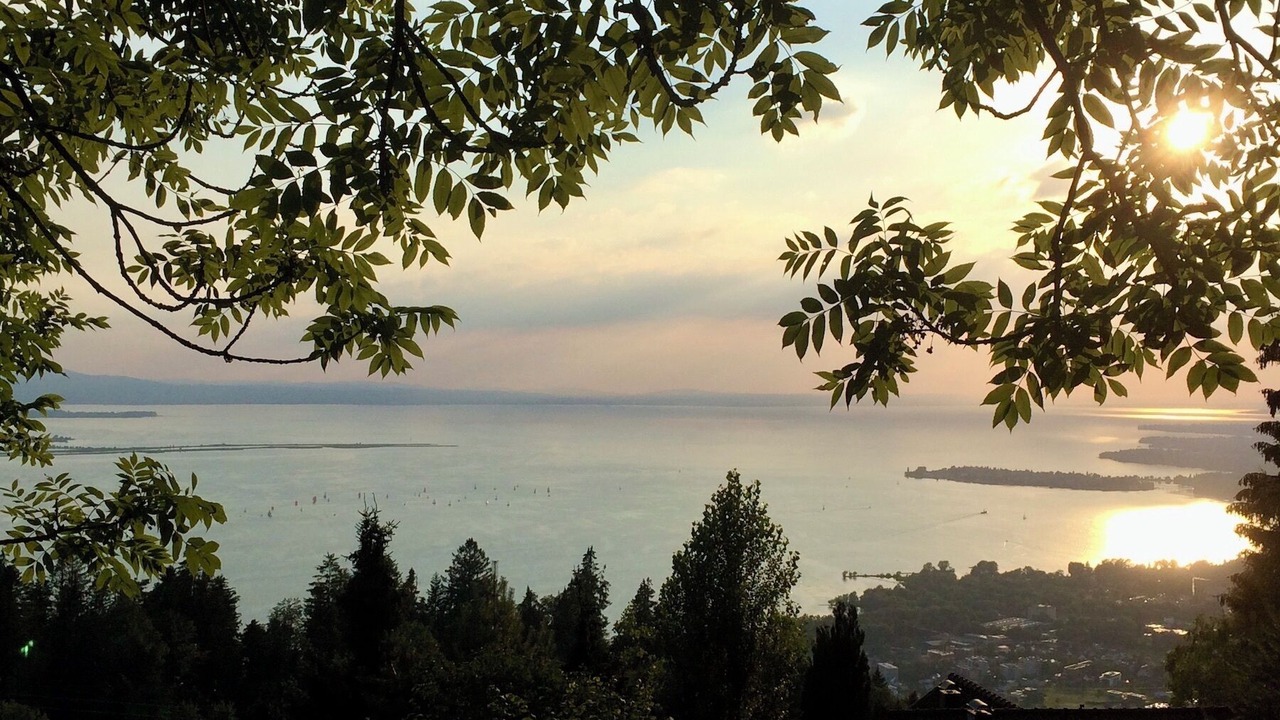 Photo of Others in Insel