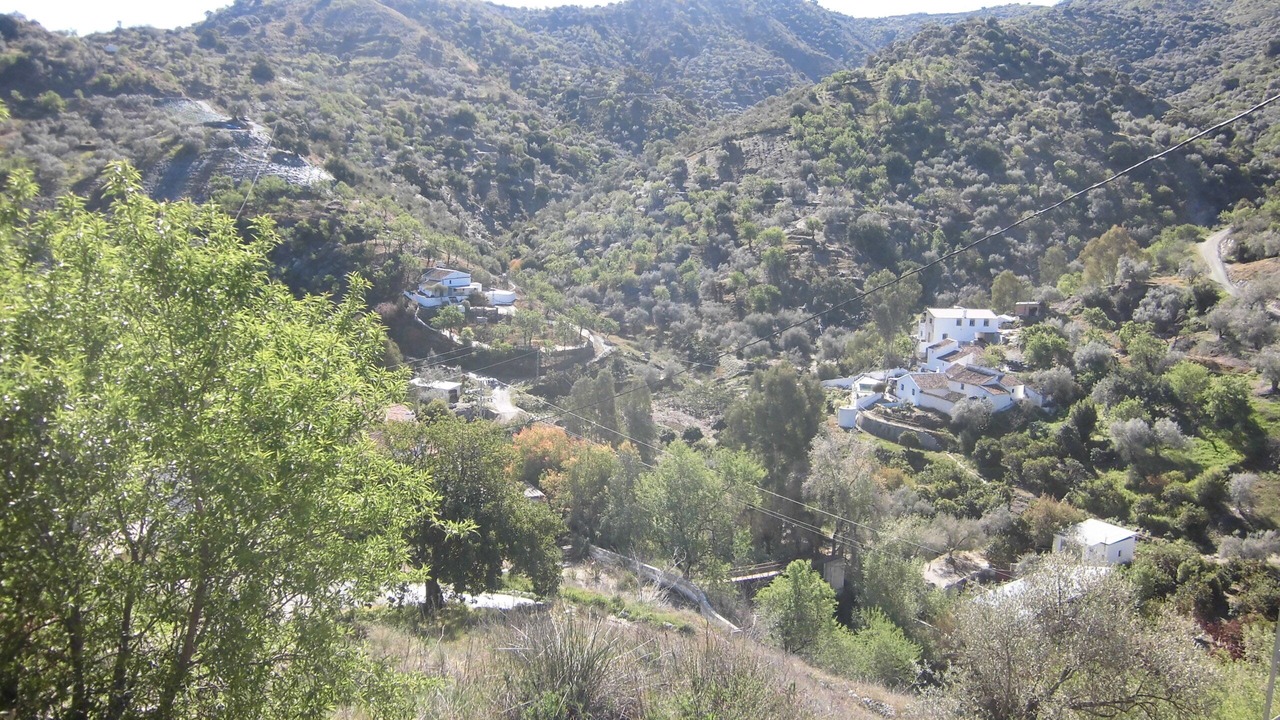 Photo of Others in Comares
