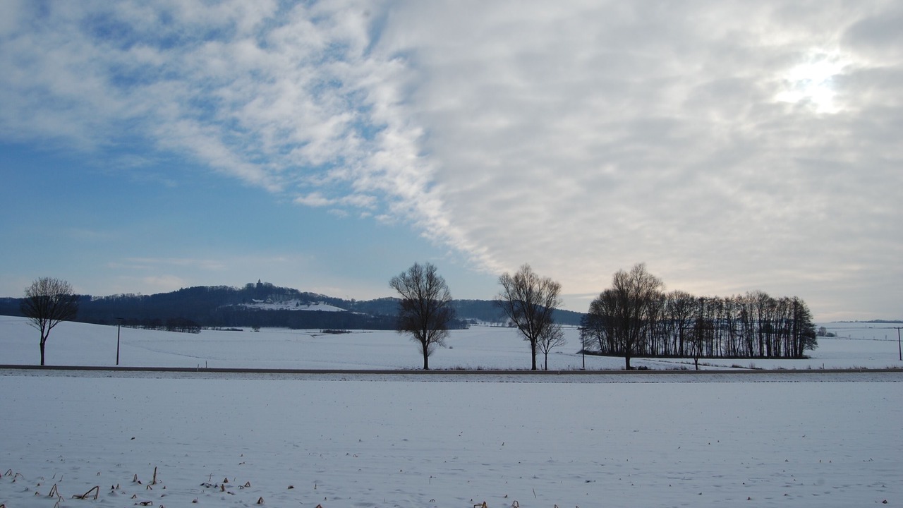 Photo of Others in Westheim