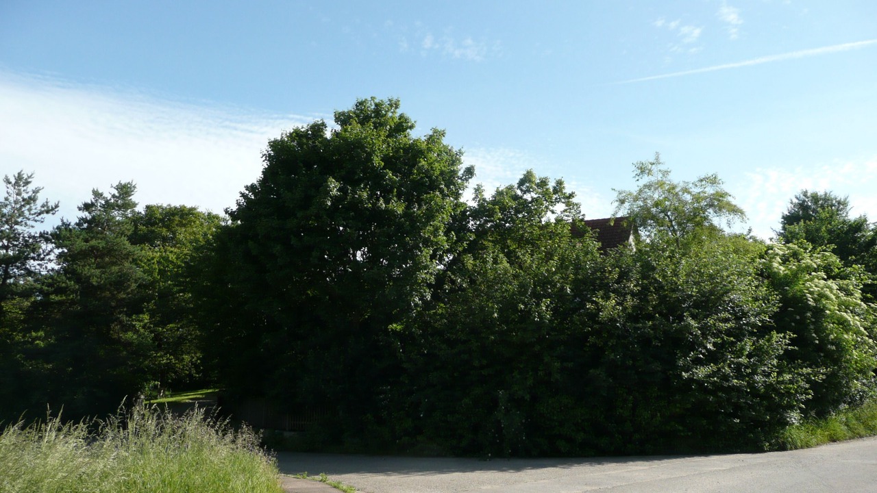 Photo of Outdoor in Westheim