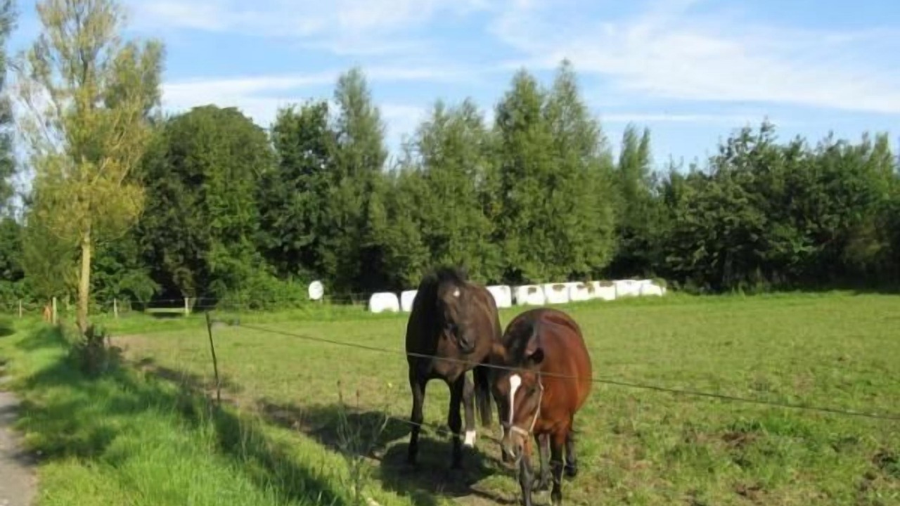 Photo of Outdoor in Curau