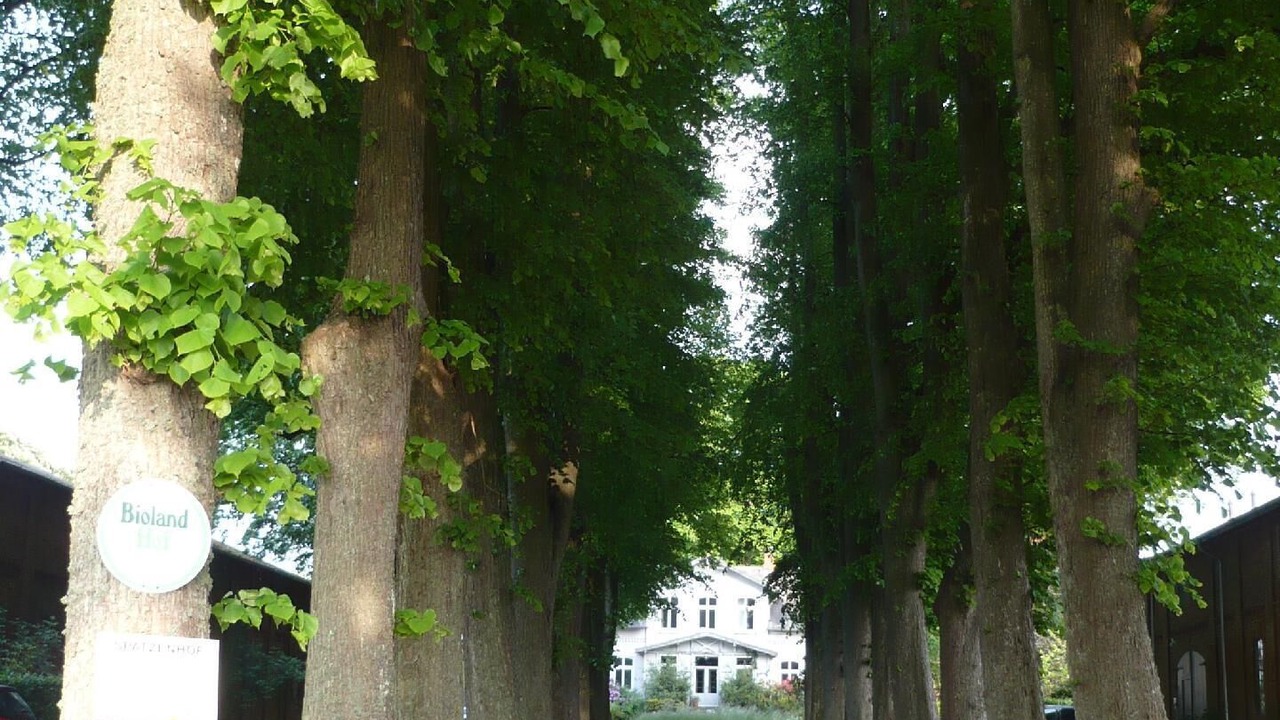 Photo of Outdoor in Curau