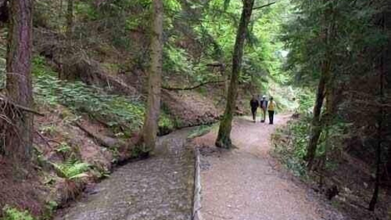 Photo of Others in Saint-Pierre-de-Clages
