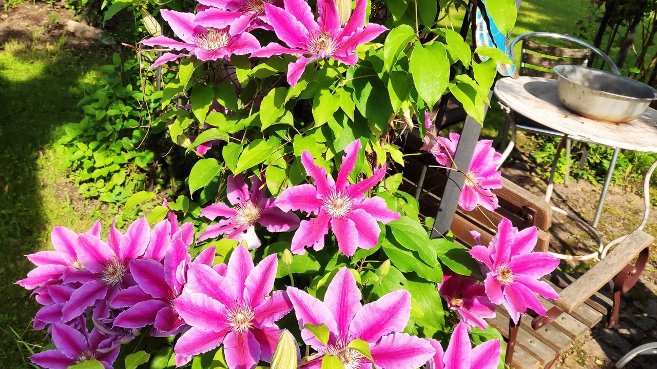 Photo of Outdoor in Bobingen