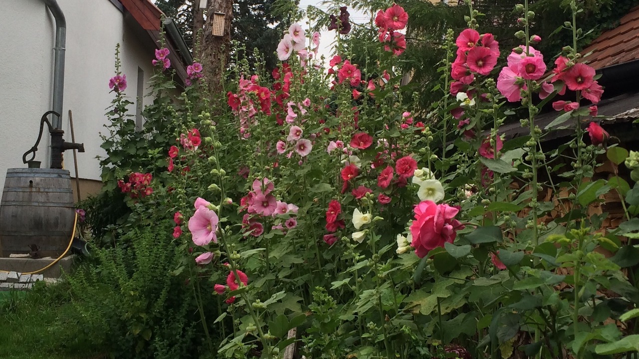 Photo of Outdoor in Bobingen
