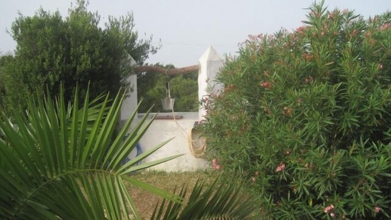 Photo of Outdoor in Los Canos de Meca