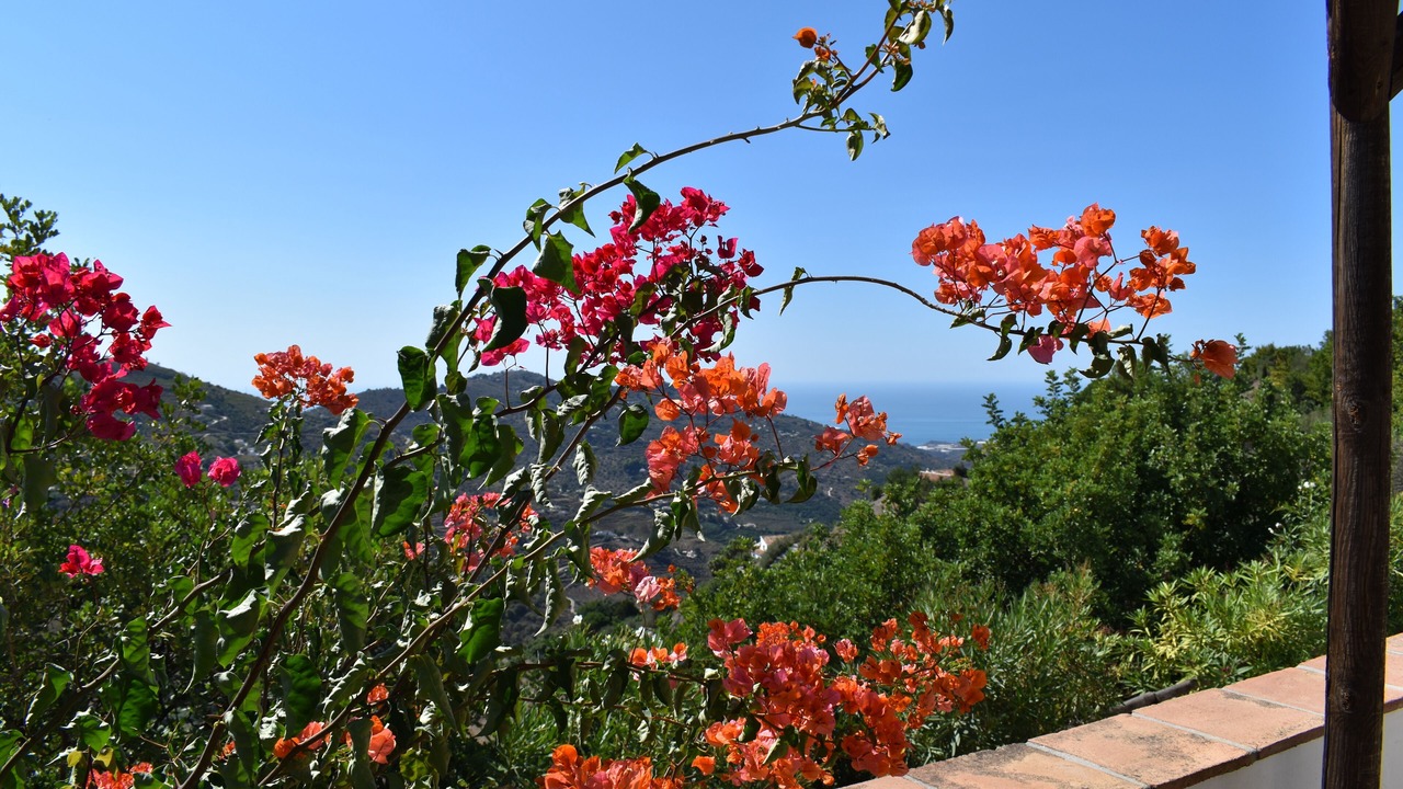Photo of Outdoor in Competa