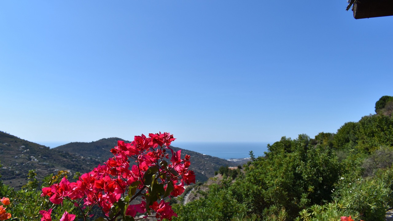 Photo of Outdoor in Competa