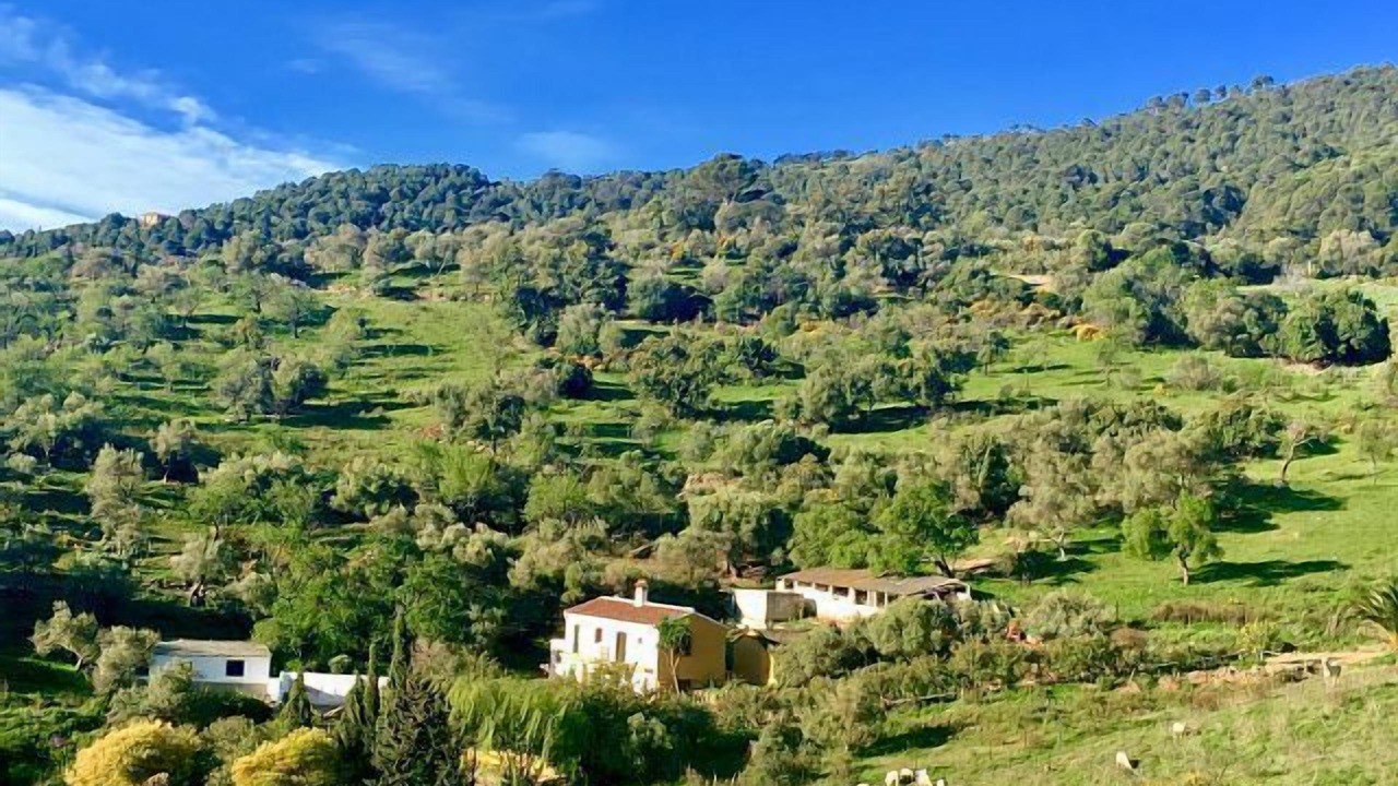 Photo of Outdoor in Gaucin