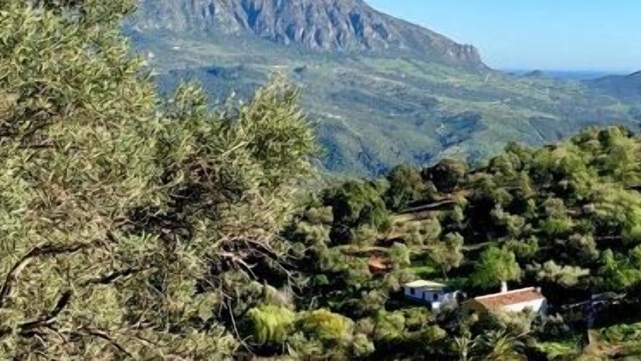 Photo of Outdoor in Gaucin