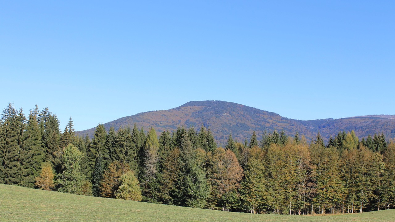 Photo of Outdoor in Ludwigsthal