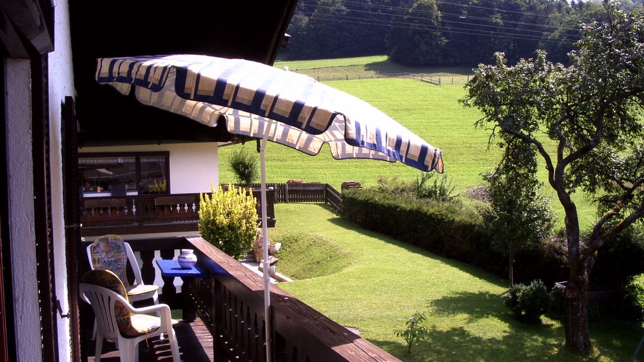 Photo of Patio Balcony in Vordermiesenbach