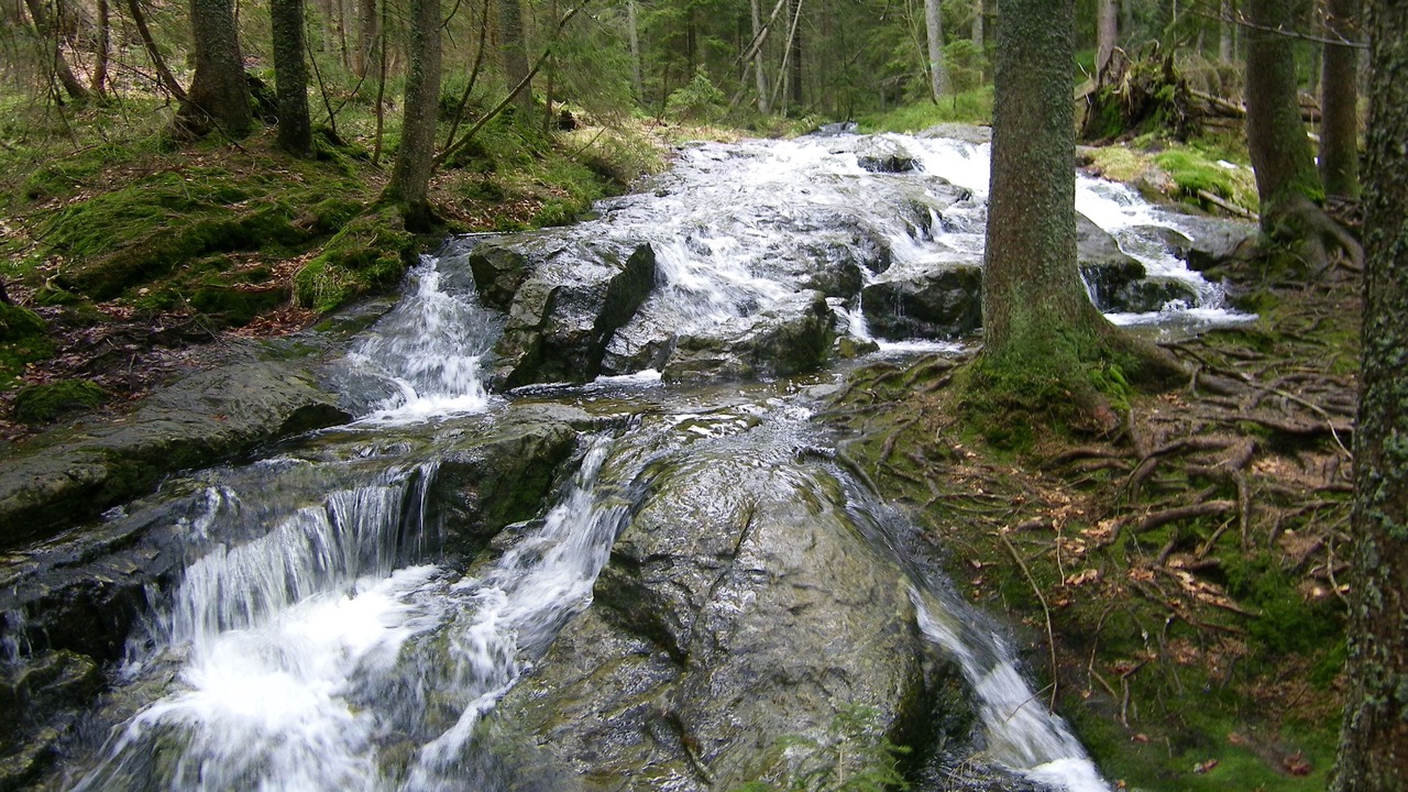 Photo of Outdoor in Neukirchen Beim Heiligen Blut