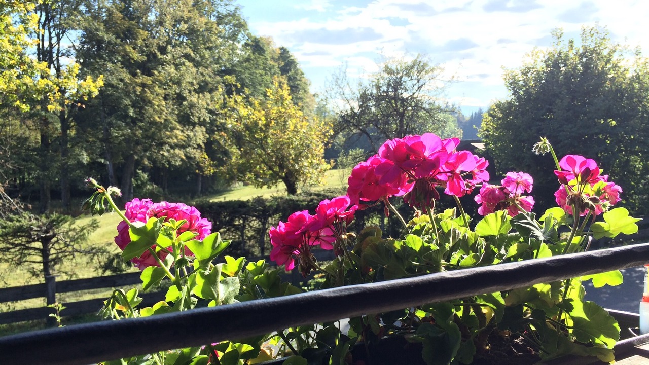 Photo of Outdoor in Warngau