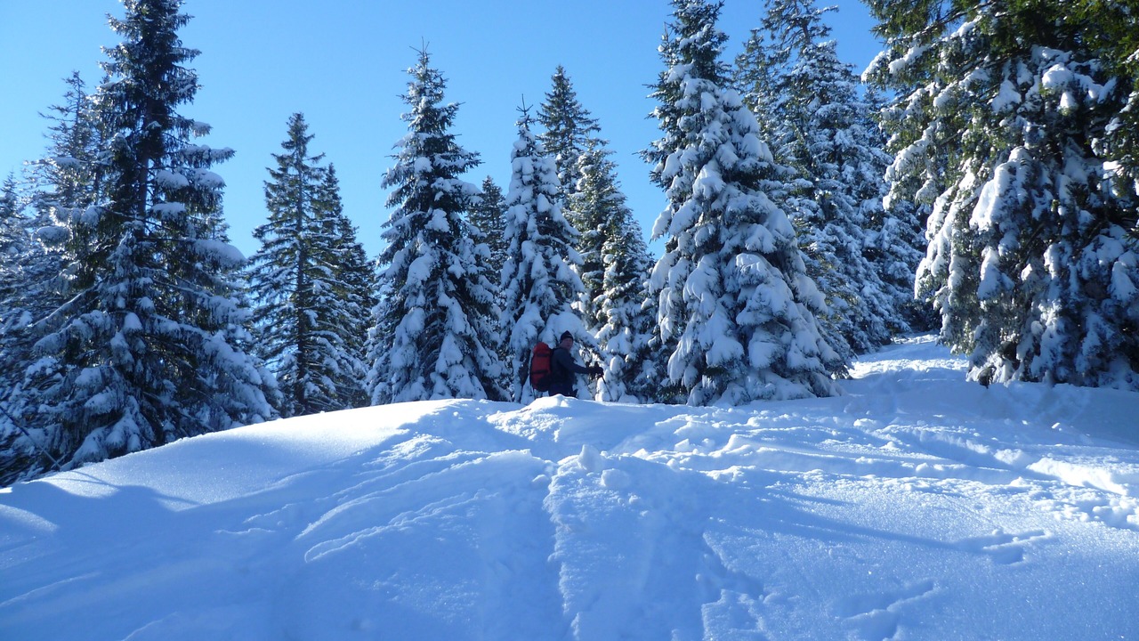 Photo of Others in Eggstatt