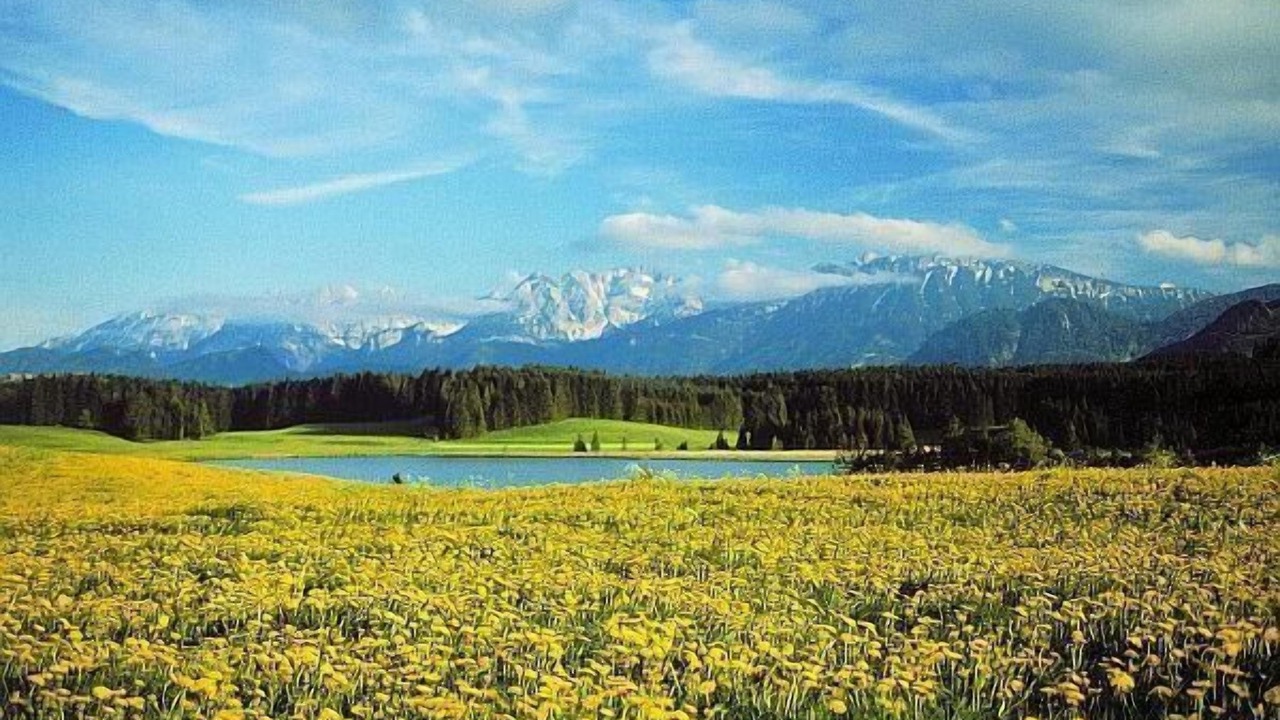 Photo of Others in Nesselwang