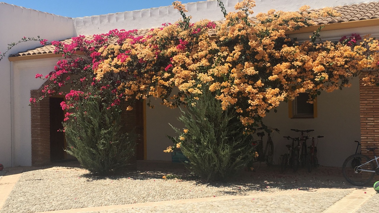 Photo of Outdoor in Villamartin