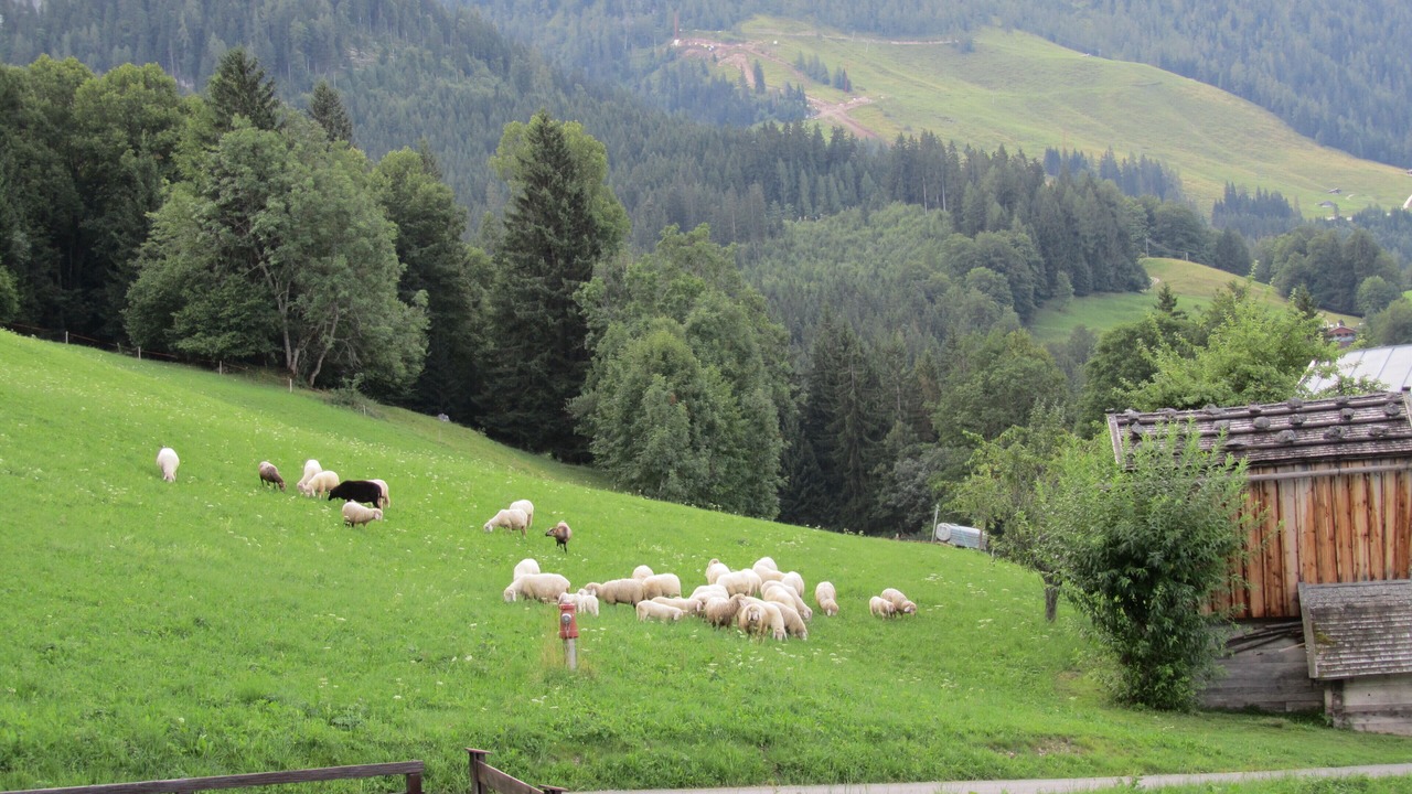 Photo of Outdoor in Schoenau am Koenigssee
