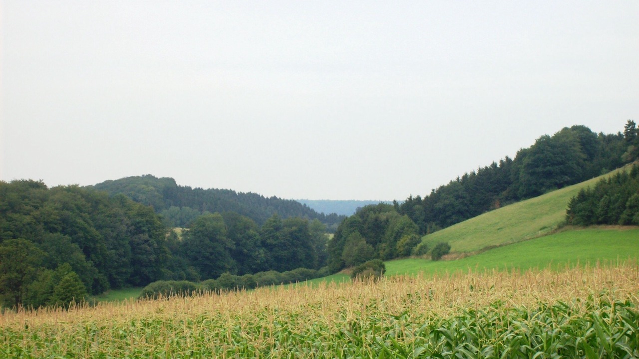 Photo of Others in Tiefenhagen