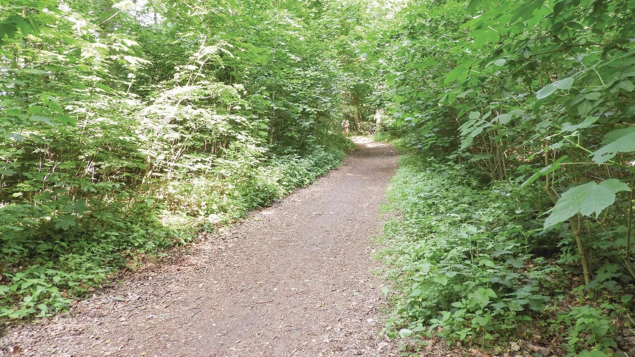 Photo of Others in Karlshof/Israelsdorf/Gothmund
